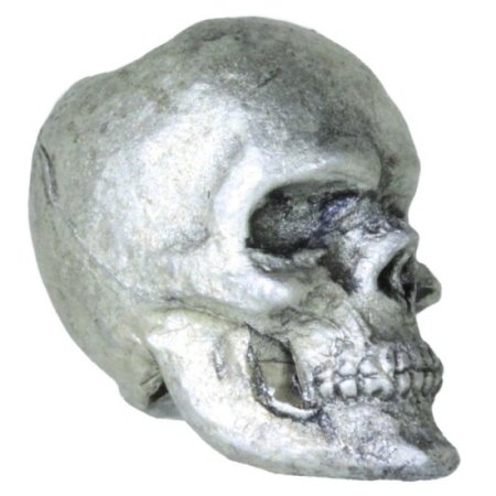 (image for) Anatomical Skull in Pewter by Barrett Designs