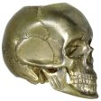 (image for) Anatomical Skull (Large) In Brass By Techno Silver