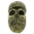 (image for) Bearded Skull In Brass By Maker "Aristarch Garilla"