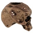 (image for) Cyber Skull Bead in Antique Copper Finish by Schmuckatelli Co.