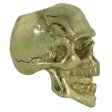 (image for) Perfect Skull in Brass by Covenant Everyday Gear