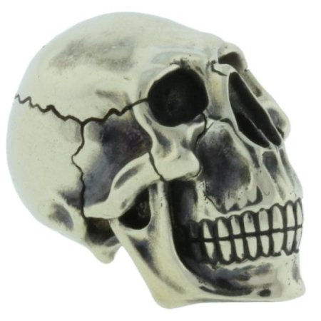 (image for) Spoony Skull In Nickel Silver By Evgeniy Golosov