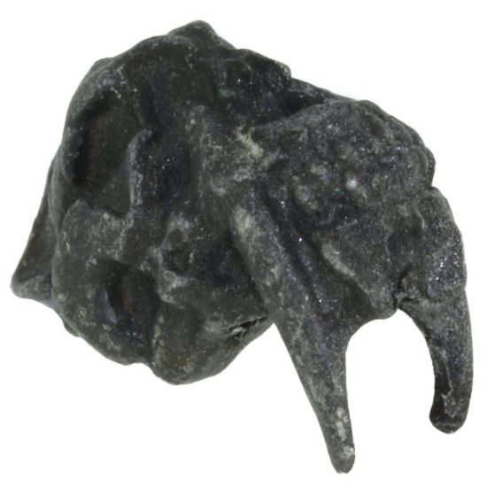 (image for) Sabretooth Bead in Black Oxide Finish by Schmuckatelli Co.