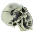 (image for) Spoony Skull In Nickel Silver By Evgeniy Golosov