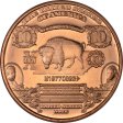 (image for) $10. Bison Design Note 1 oz .999 Pure Copper Round