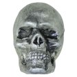 (image for) Anatomical Skull in Pewter by Barrett Designs