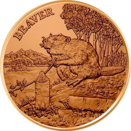 (image for) Beaver (American Wildlife Series) 1 oz .999 Pure Copper Round