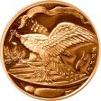 (image for) Eagle & Shield (SilverTowne Mint) 1 oz .999 Pure Copper Round