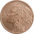 (image for) Fearless #114 (2019 Silver Shield - Mini Mintage) 1 oz .999 Pure Copper Round