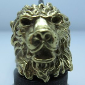 Majestic Lion in Brass by Covenant Everyday Gear