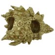 (image for) Medieval Dragon in Brass by Covenant Everyday Gear