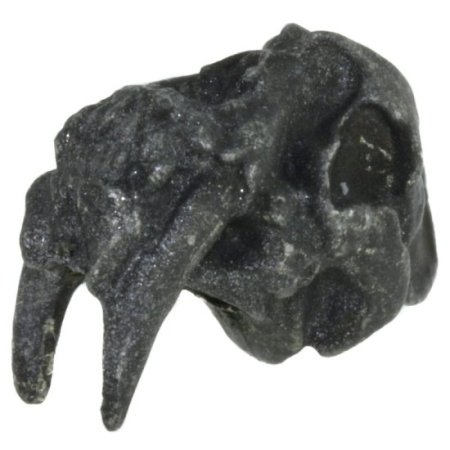 (image for) Sabretooth Bead in Black Oxide Finish by Schmuckatelli Co.