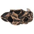 (image for) Sabretooth Bead in Roman Copper Oxide by Schmuckatelli Co.