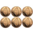 (image for) Complete Set of (6) Safety In Numbers 1 oz .999 Pure Copper Rounds