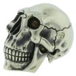 (image for) Spoony Skull In Nickel Silver By Evgeniy Golosov