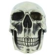 (image for) Spoony Skull In Nickel Silver By Evgeniy Golosov